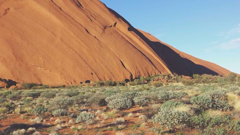 Featured image for Agntai Net article