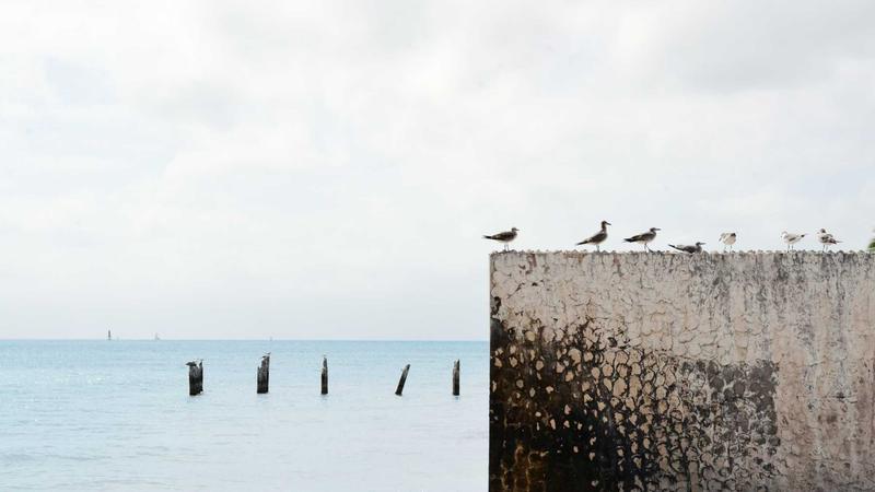 Featured image for Agntai Net article