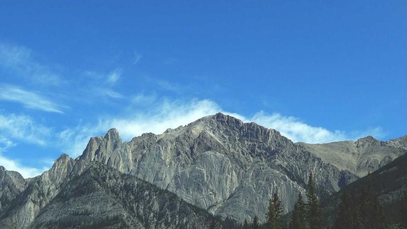 Featured image for Agntai Net article