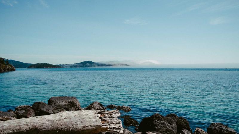 Featured image for Agntai Net article