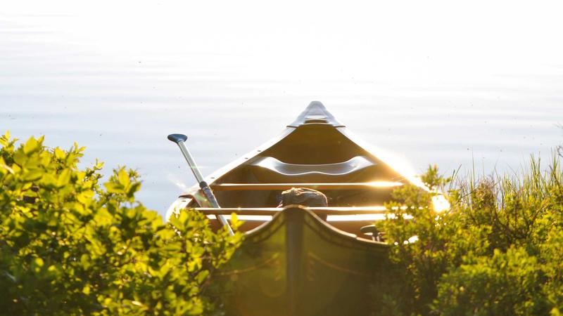 Featured image for Agntai Net article