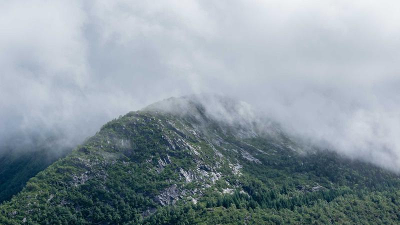 Featured image for Agntai Net article