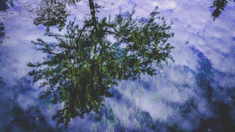 Featured image for Agntai Net article