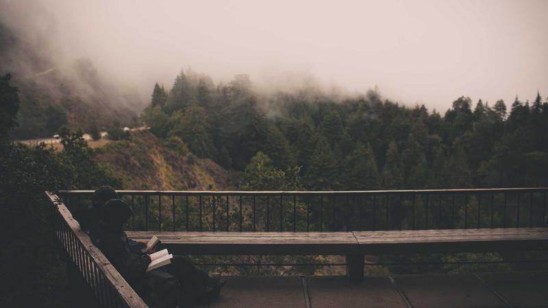 Featured image for Agntai Net article