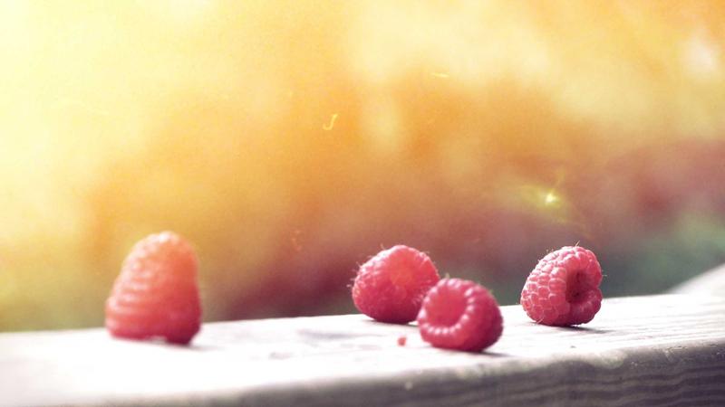 Featured image for Agntai Net article