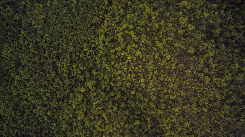 Featured image for Agntai Net article