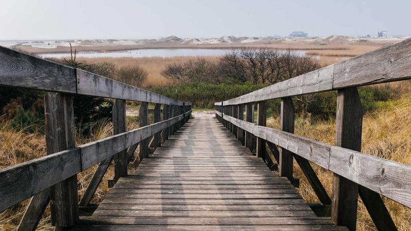 Featured image for Agntai Net article